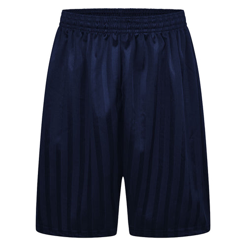 Navy Blue Shadow Stripe P.E. Shorts