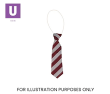 Load image into Gallery viewer, Red & White Broad Stripe Tie (Box of 24)