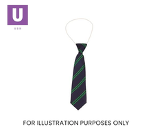 Load image into Gallery viewer, Navy & Green Double Stripe Tie (Box of 24)