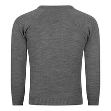 Cargar imagen en el visor de la galería, Tilbury Pioneer Knitted V-Neck Jumper with logo