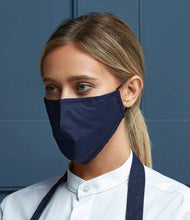 Load image into Gallery viewer, Premier Washable 3-Layer Face Mask (10 pk)