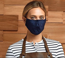 Load image into Gallery viewer, Premier Washable 3-Layer Face Mask (10 pk)