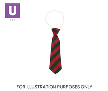 Load image into Gallery viewer, Red & Green Broad Stripe Tie (Box of 24)