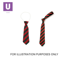 Load image into Gallery viewer, Red & Green Broad Stripe Tie (Box of 24)