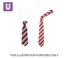 Load image into Gallery viewer, Red & White Broad Stripe Tie (Box of 24)