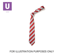 Load image into Gallery viewer, Red & White Broad Stripe Tie (Box of 24)