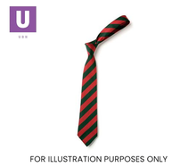 Load image into Gallery viewer, Red & Green Broad Stripe Tie (Box of 24)