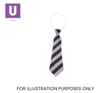 Load image into Gallery viewer, Navy & Sliver Broad Stripe Tie (Box of 24)