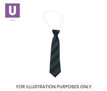 Load image into Gallery viewer, Navy & Emerald Broad Stripe Tie (Box of 24)