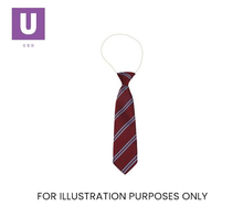 Load image into Gallery viewer, Maroon & Sky Double Stripe Tie (Box of 24)