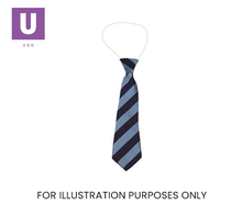 Load image into Gallery viewer, Navy & Saxe Broad Stripe Tie (Box of 24)