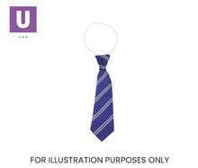 Load image into Gallery viewer, Royal Blue & White Double Stripe Tie (Box of 24)