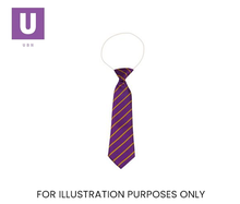 Load image into Gallery viewer, Purple & Gold Thin Stripe Tie (Box of 24)