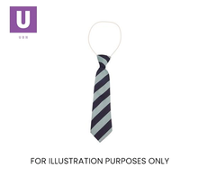Load image into Gallery viewer, Navy & Sky Broad Stripe Tie (Box of 24)