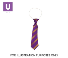 Load image into Gallery viewer, Purple & Gold Double Stripe Tie (Box of 24)