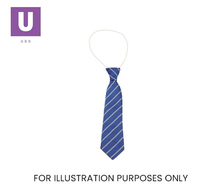 Cargar imagen en el visor de la galería, Royal Blue & Silver Thin Stripe Tie (Box of 24)