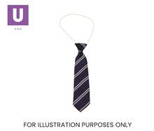 Load image into Gallery viewer, Navy & White Double Stripe Tie (Box of 24)