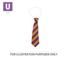 Load image into Gallery viewer, Purple & Gold Broad Stripe Tie (Box of 24)