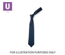 Load image into Gallery viewer, Navy & Saxe Thin Stripe Tie (Box of 24)