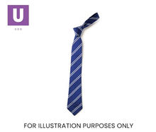 Load image into Gallery viewer, Royal Blue & White Double Stripe Tie (Box of 24)