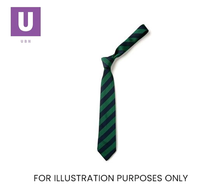 Load image into Gallery viewer, Navy & Emerald Broad Stripe Tie (Box of 24)