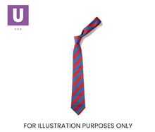 Load image into Gallery viewer, Red & Royal Blue Broad Stripe Tie (Box of 24)