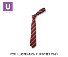 Load image into Gallery viewer, Maroon & White Double Stripe Tie (Box of 24)