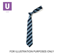Load image into Gallery viewer, Navy & Saxe Broad Stripe Tie (Box of 24)