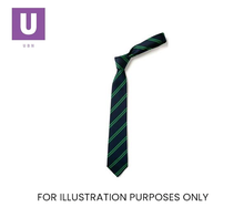 Load image into Gallery viewer, Navy & Green Double Stripe Tie (Box of 24)