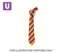 Load image into Gallery viewer, Purple & Gold Broad Stripe Tie (Box of 24)