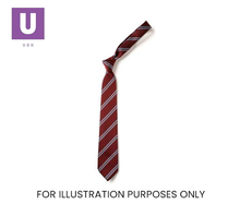 Load image into Gallery viewer, Maroon & Sky Double Stripe Tie (Box of 24)