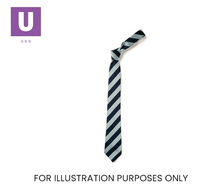 Load image into Gallery viewer, Navy & Sky Broad Stripe Tie (Box of 24)