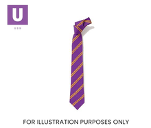 Load image into Gallery viewer, Purple & Gold Double Stripe Tie (Box of 24)
