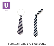 Load image into Gallery viewer, Navy & Sliver Broad Stripe Tie (Box of 24)