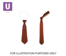 Laden Sie das Bild in den Galerie-Viewer, Maroon & Gold Thin Stripe Tie (Box of 24)