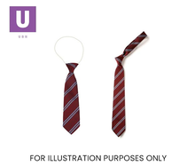 Load image into Gallery viewer, Maroon & Sky Double Stripe Tie (Box of 24)