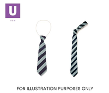 Load image into Gallery viewer, Navy & Sky Broad Stripe Tie (Box of 24)