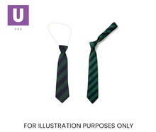 Load image into Gallery viewer, Navy & Emerald Broad Stripe Tie (Box of 24)