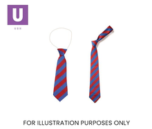 Load image into Gallery viewer, Red & Royal Blue Broad Stripe Tie (Box of 24)