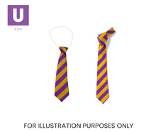 Load image into Gallery viewer, Purple & Gold Broad Stripe Tie (Box of 24)