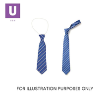 Cargar imagen en el visor de la galería, Royal Blue & Silver Thin Stripe Tie (Box of 24)