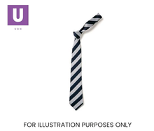 Load image into Gallery viewer, Navy & Sliver Broad Stripe Tie (Box of 24)