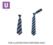 Load image into Gallery viewer, Navy & Saxe Broad Stripe Tie (Box of 24)