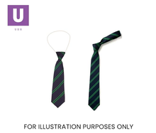 Load image into Gallery viewer, Navy & Green Double Stripe Tie (Box of 24)