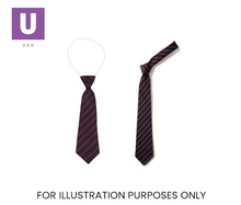 Load image into Gallery viewer, Navy & Red Thin Stripe Tie (Box of 24)