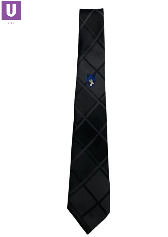 Gable Hall Blue Crest Tie (Year 9 - Sept 2024)