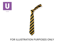 Load image into Gallery viewer, Navy &amp; Gold Broad Stripe 39&quot; Eco Tie