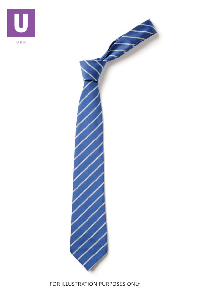 Royal Blue & Sliver Thin Stripe Eco Tie