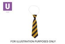 Load image into Gallery viewer, Navy &amp; Gold Broad Stripe Elastic Tie