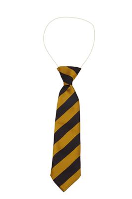 Black & Gold Broad Stripe Elastic Tie